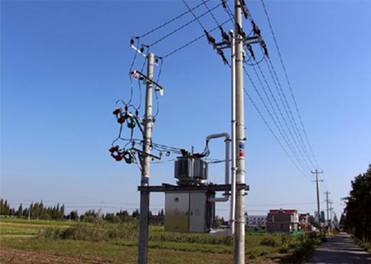 Rural power grid transformation
