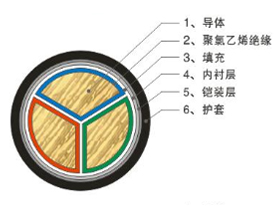 0.6/1kV聚氯乙烯绝缘电力电缆